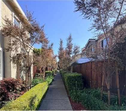 Tree-lined walkway in the Union City neighborhood
